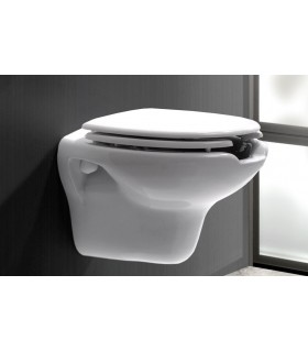 Inodoro Suspend Con Tapa