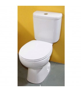 ROCA POLO Inodoro Completo