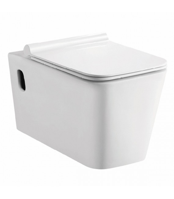 PISA Inodoro BTW Suspendido