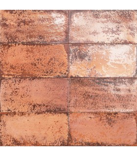 MAINZU AZULEJO Atelier Flame 15x30