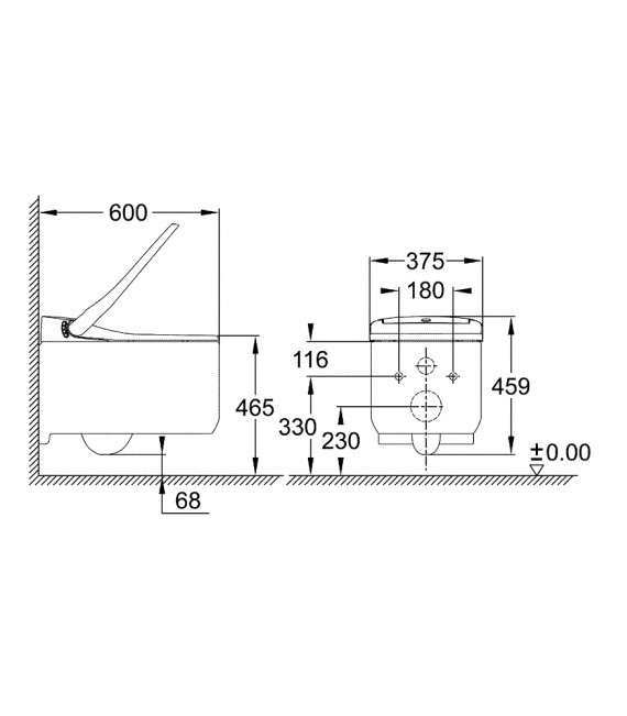 GROHE 39 354 SH0 SENSIA ARENA Inodoro Suspendido