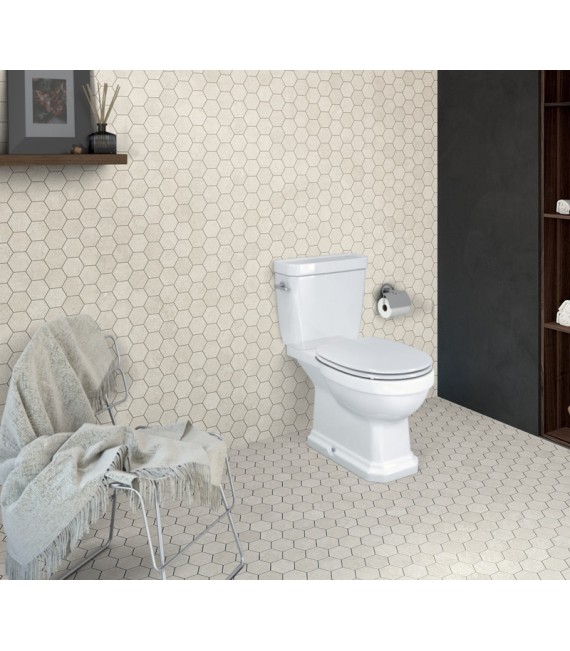 ROCA A3420A7000 CARMEN Inodoro Completo Con Asiento Blanco