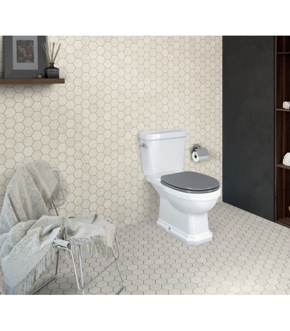 ROCA A3420A7000 CARMEN Inodoro Completo Con Asiento Gris