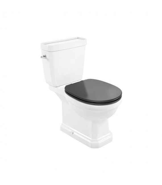 ROCA A3420A7000 CARMEN Inodoro Completo Con Asiento Gris