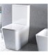 AQUORE 00328 PISA Inodoro Compacto Completo