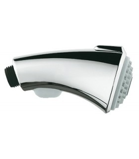 GROHE 46 173 IE0 Teleducha para Zedra 32462