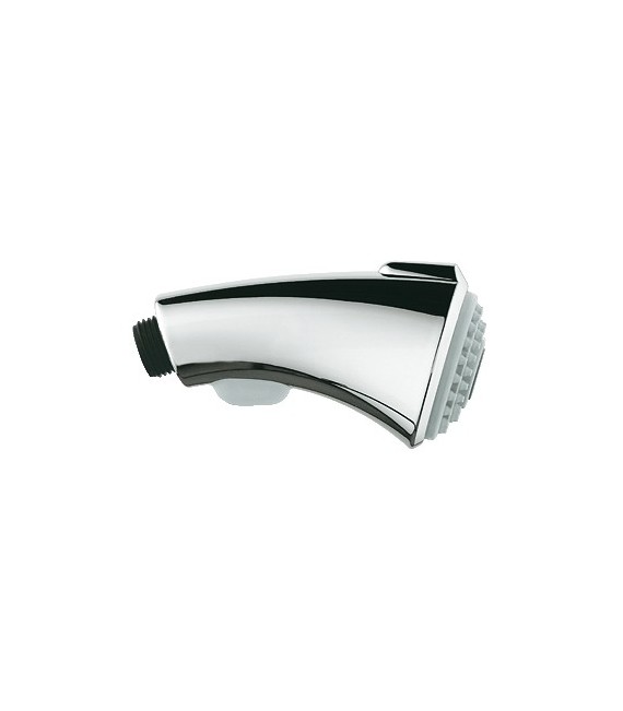 GROHE 46 173 IE0 Teleducha para Zedra 32462