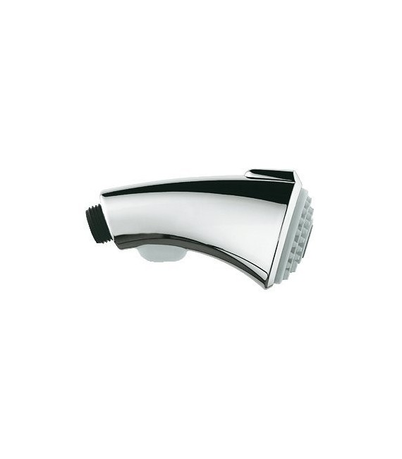 GROHE 46 173 IE0 Teleducha para Zedra 32462